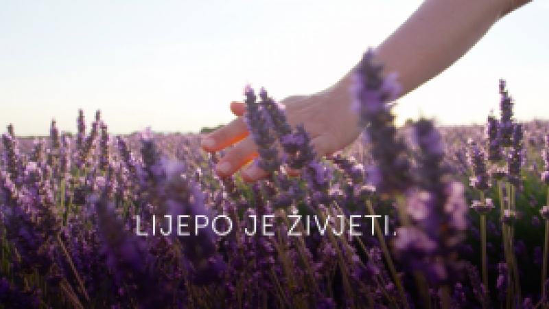 RAK DEBELOGA I ZAVRŠNOGA CRIJEVA - ODAZOVI SE I ŽIVI